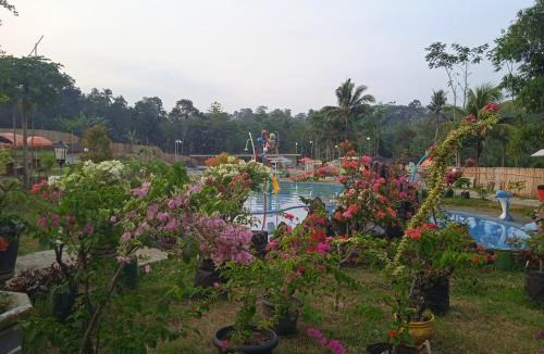 Kajarharjo Other | Citra Mandiri Glamping