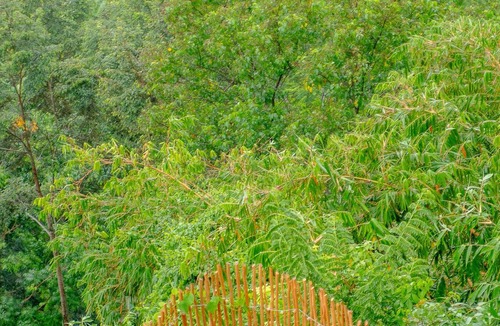 Klungkung Villa | Cliffside Bamboo Villa – Heated Pool & Stunning View