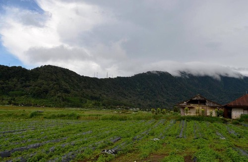 Bedugul House | Dajan Buyan Homestay