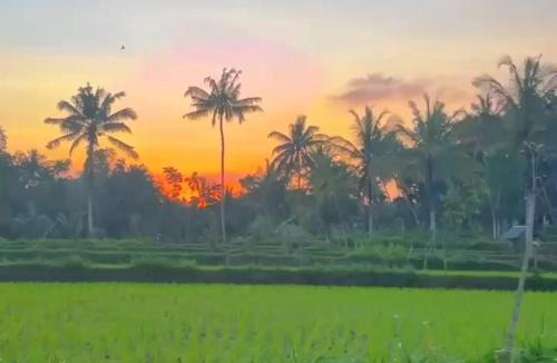 Kecamatan Montong Gading House | Eltari Homestay