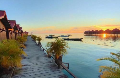 Pulau Derawan Cabin | Fisheries VIP