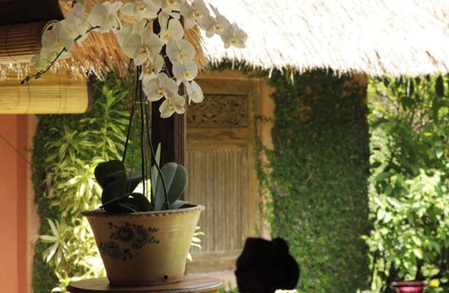 Umalas Villa | Five Star Bali Luxury - Private Chef & Nanny - Traffic Free Haven