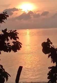 Mansuar Island House | Frits Homestay