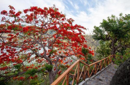 Labuan Bajo House | Golo Nara Seaside Villas