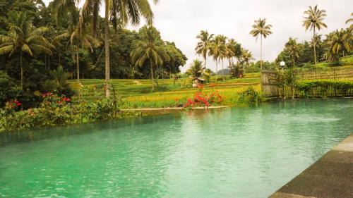 Banyuwangi House | Gubug Ijen