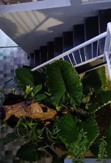 Saba Villa | Guest House Djumah Damai