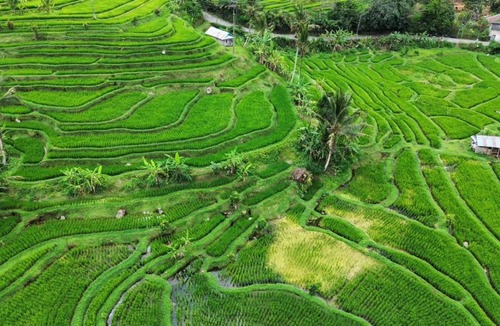 Penebel House | Gunung Luwih River Hideaway by The Travel Ubud Bali