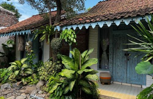 Probolinggo House | Happy House Bromo backpacker