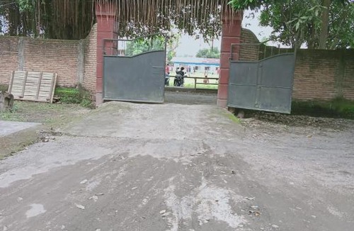 Kecamatan Kuripan House | Homestay Pedaleman