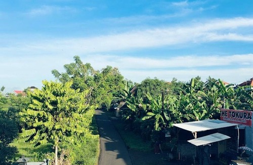 Negara Hotel | Hotel Arda Bali