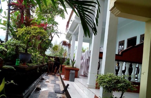 Lovina Hotel | Hotel Dupa