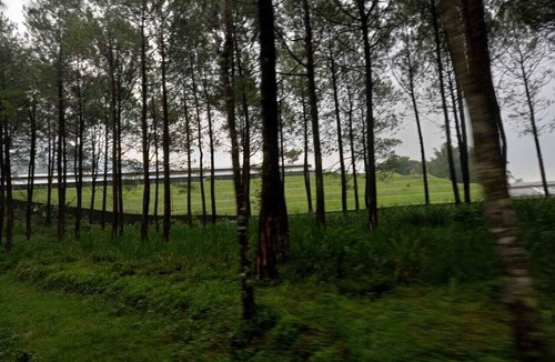 Wonosari House | java break away