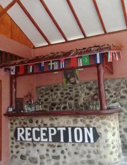 Bukit Lawang House | Jungle house and treking Tour Only Treking Booking With As