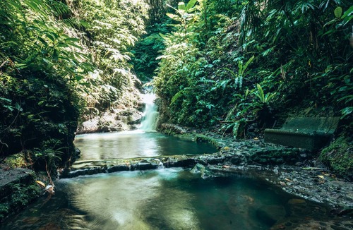Selemadeg House | Jungle House with Stunning views and a Natural pool!