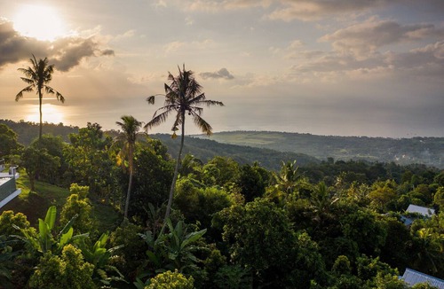 Banjar Villa | Jungle Infinity Pool | Open Living | Lovina Hills