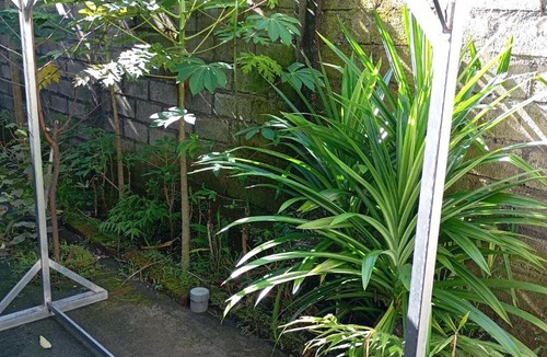 Kecamatan Kuripan House | Kediri Homestay