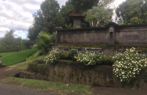Seririt Villa | Kedis villa