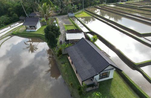 Penebel House | KUBU D'UME HOMESTAY