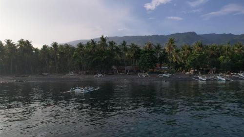 Tejakula House | Kura Kura Beach
