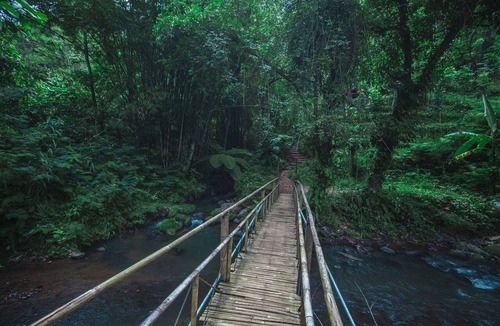 Mekarsari Villa | Leke Leke Waterfall View Unique night under Stars