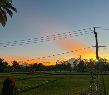 Taro House | Lila Sari Guest House Rom Only