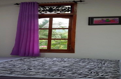 Singaraja House | Lotus Guesthouse Sudaji: a natural and unique place in the North Bali.