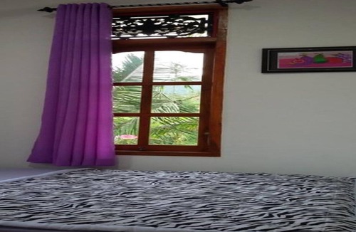 Singaraja House | Lotus Guesthouse Sudaji: a natural and unique place in the North Bali.