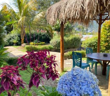 Moni House | Mahoni Guest House