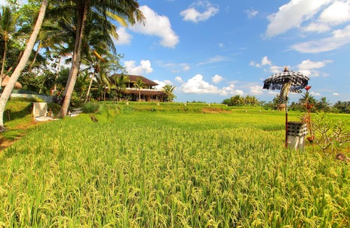 Kedewatan Hotel | MATHIS Retreat Ubud