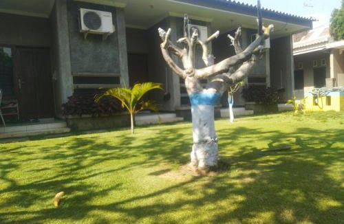 Probolinggo Hostel | Merapi Indah Hostel