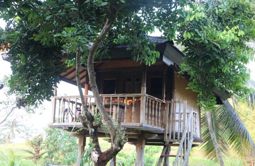 Sukasada House | Mesari Cottage Guest House