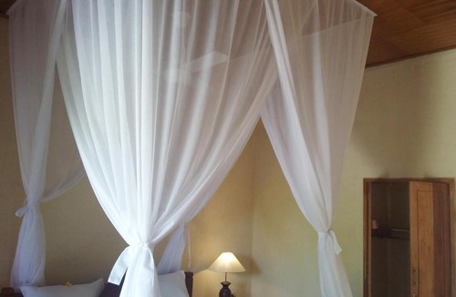 Pemuteran House | Molleh Guest House