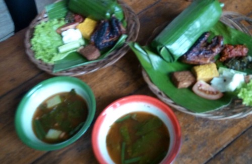 Bogor House | natural resort near bogor up to 150paxs