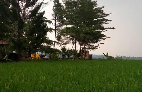 Bogor House | natural resort near bogor up to 150paxs