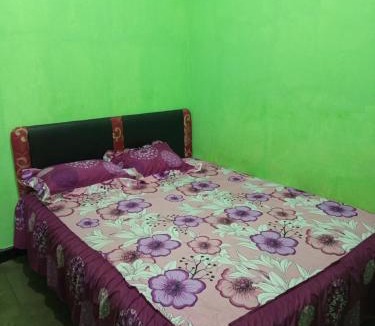 Kalipuro House | NEW OLIVIA Homestay