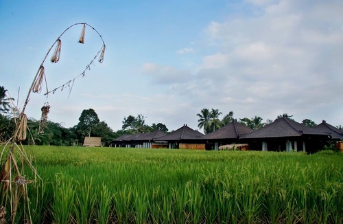 Kenderan Villa | One Bedroom Villa overlooking to Rice Field