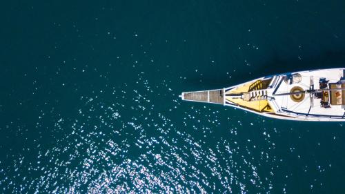Labuan Bajo Boat Rental | One Day Trip by Speadboat to National Komodo Park