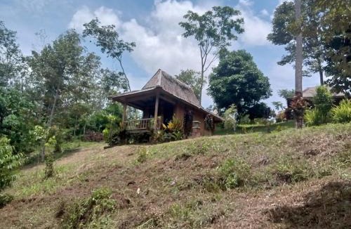 Bukit Lawang Cabin | Orangutan Bungalow