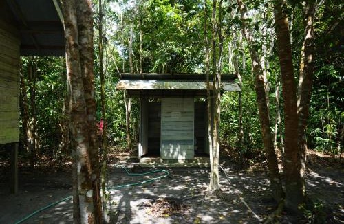 Pangkalan Bun Cabin | Orangutan & Restoration Camp