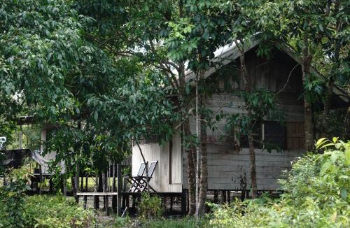 Pangkalan Bun Cabin | Orangutan & Restoration Camp