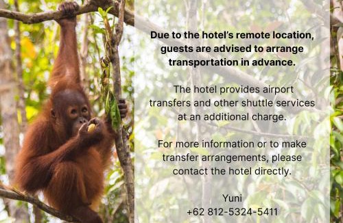 Pangkalan Bun Cabin | Orangutan & Restoration Camp