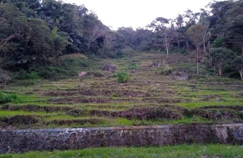 Moni House | OYOecocheap LODGE is close& FLORES TOUR AGENCY