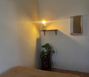 Yogyakarta House | Platsa House