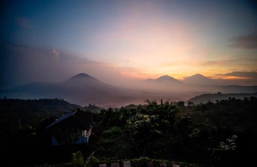 Kintamani Hotel | Pondok Devana Kintamani