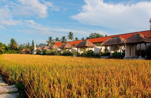 Melayang Villa | Private Pool, One Bedroom Villa Rice Field View near Ubud