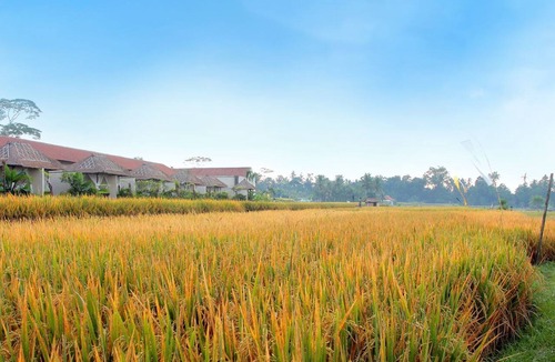 Melayang Villa | Private Pool, One Bedroom Villa Rice Field View near Ubud