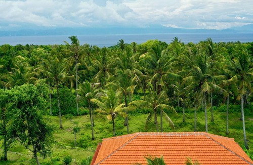 Penida Island House | Relaxation and luxury at Jungle Paradise
