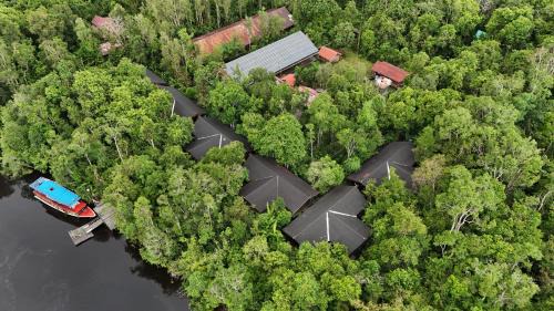 Kalimantan Cabin | Rimba Orangutan Ecolodge