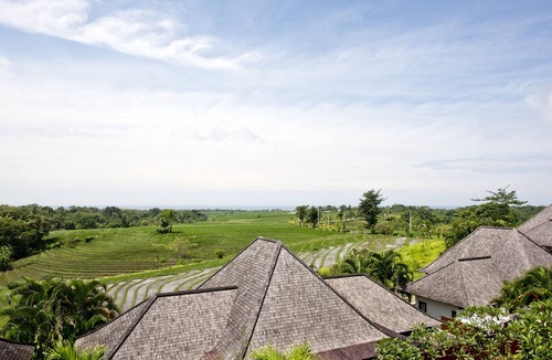 Tegal Mengkeb House | Sawah Town House C3 Rice Field View