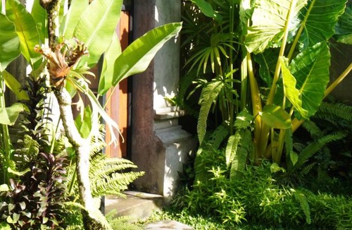 Keliki House | Sumirta's House Bale Teba